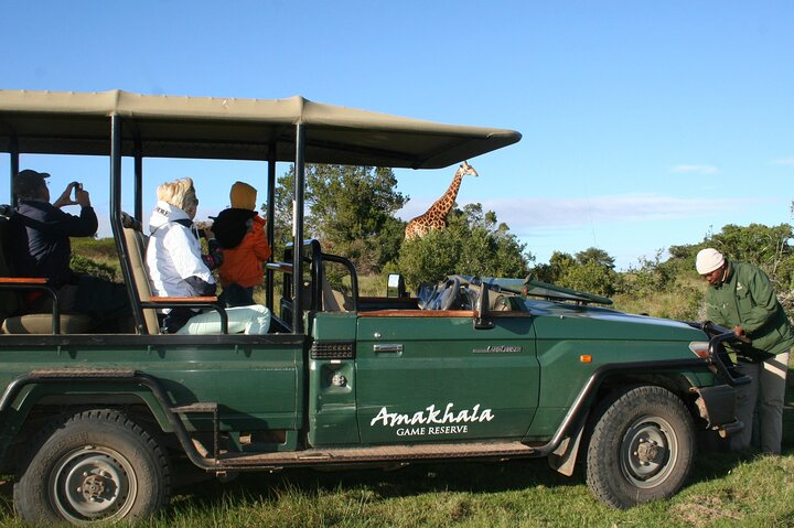 5 Days Big 5 Safari Experience at Amakhala & Addo Elephant Park - Photo 1 of 25